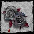 huswi